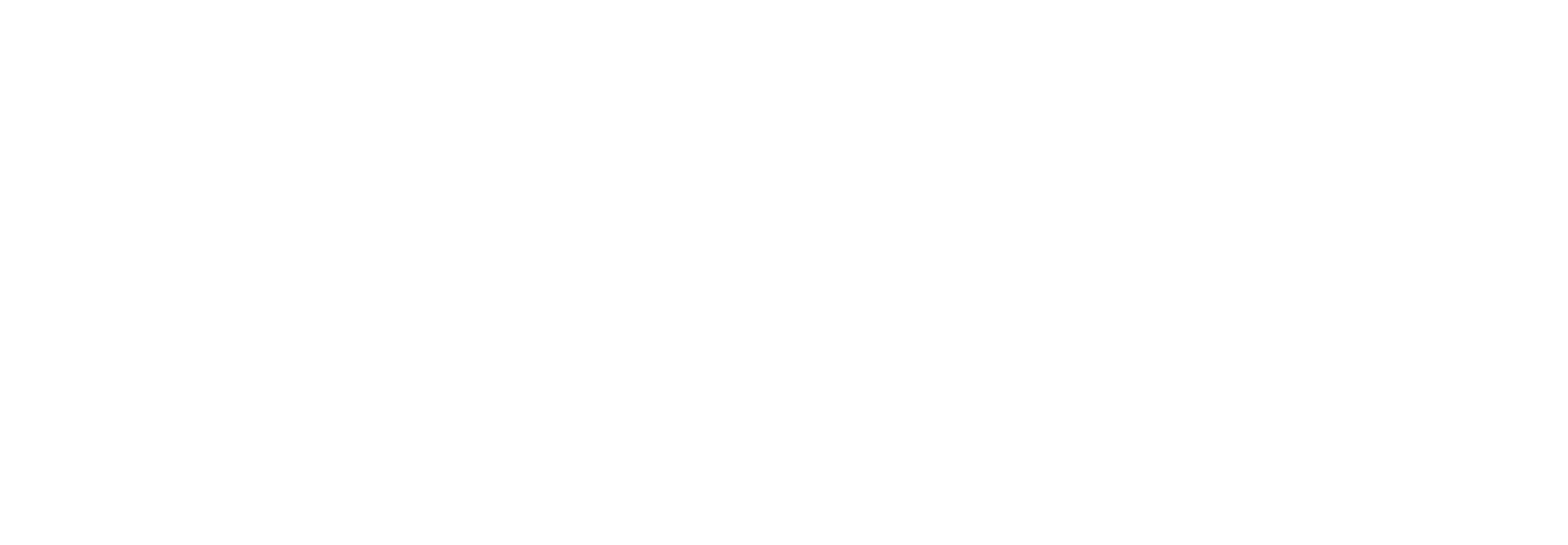 PayNet Logo